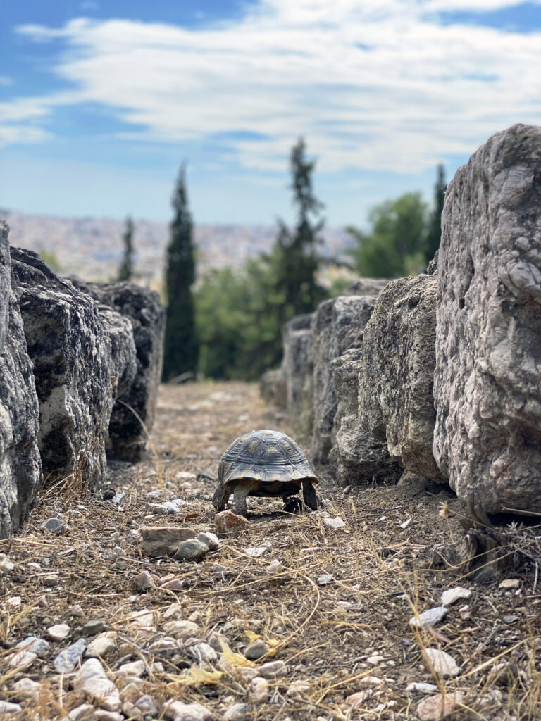 City of unforgettable contrasts