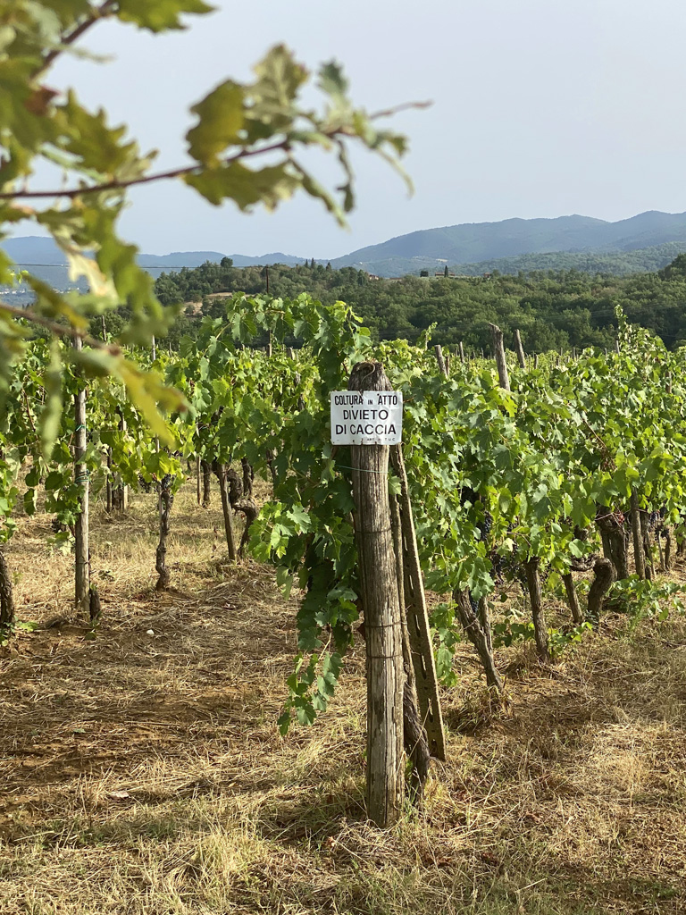 A region in west-central Italy A region in west-central Italy
