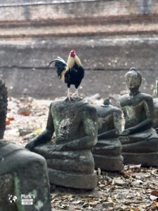 Statuen bei Wat Umong Suan Putthatham