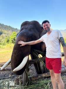 Steicheln mit Elefanten